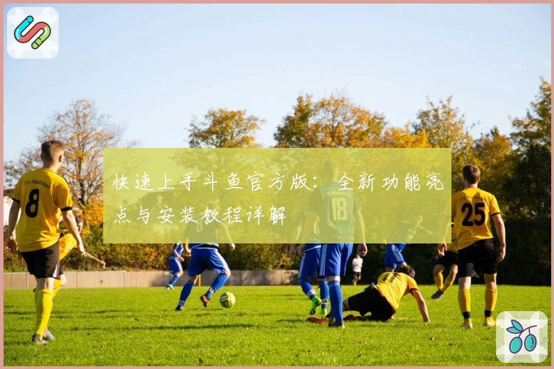 快速上手斗鱼官方版：全新功能亮点与安装教程详解