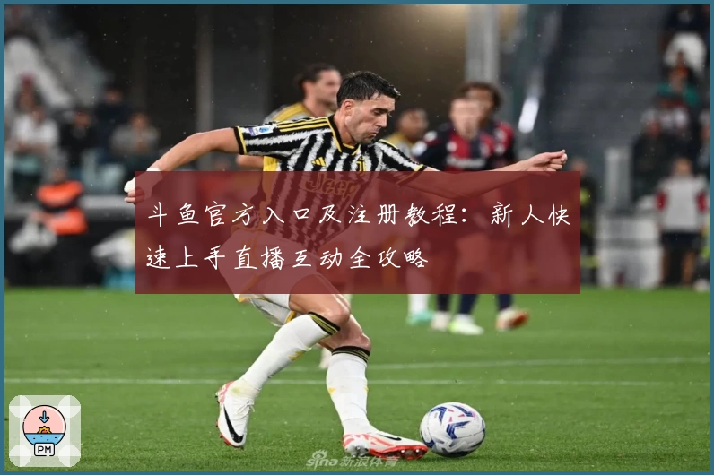 斗鱼官方入口及注册教程：新人快速上手直播互动全攻略