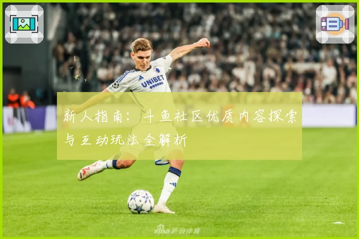 新人指南:斗鱼社区优质内容探索与互动玩法全解析