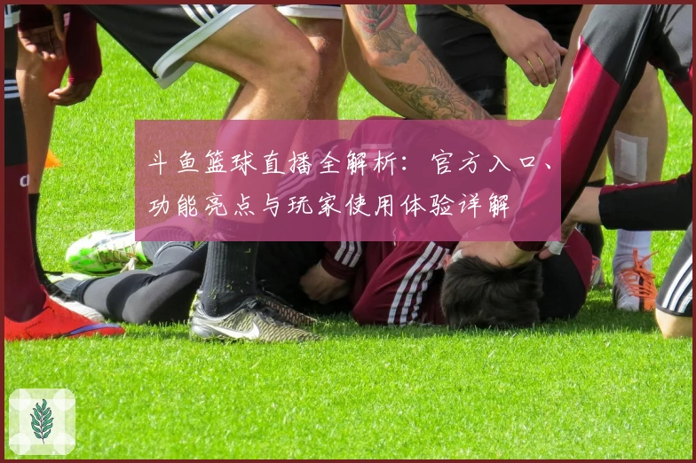 斗鱼篮球直播全解析：官方入口、功能亮点与玩家使用体验详解