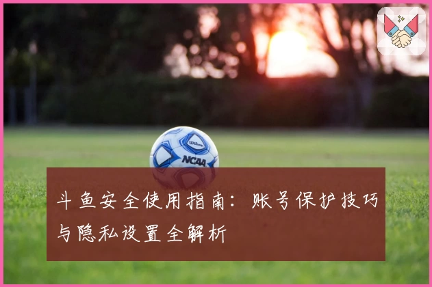 斗鱼安全使用指南：账号保护技巧与隐私设置全解析