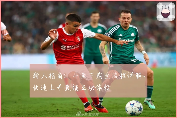 新人指南：斗鱼下载全流程详解，快速上手直播互动体验