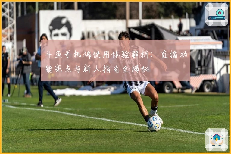 斗鱼手机端使用体验解析：直播功能亮点与新人指南全揭秘
